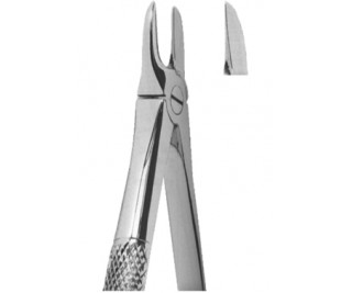 Extracting Forceps English pattern